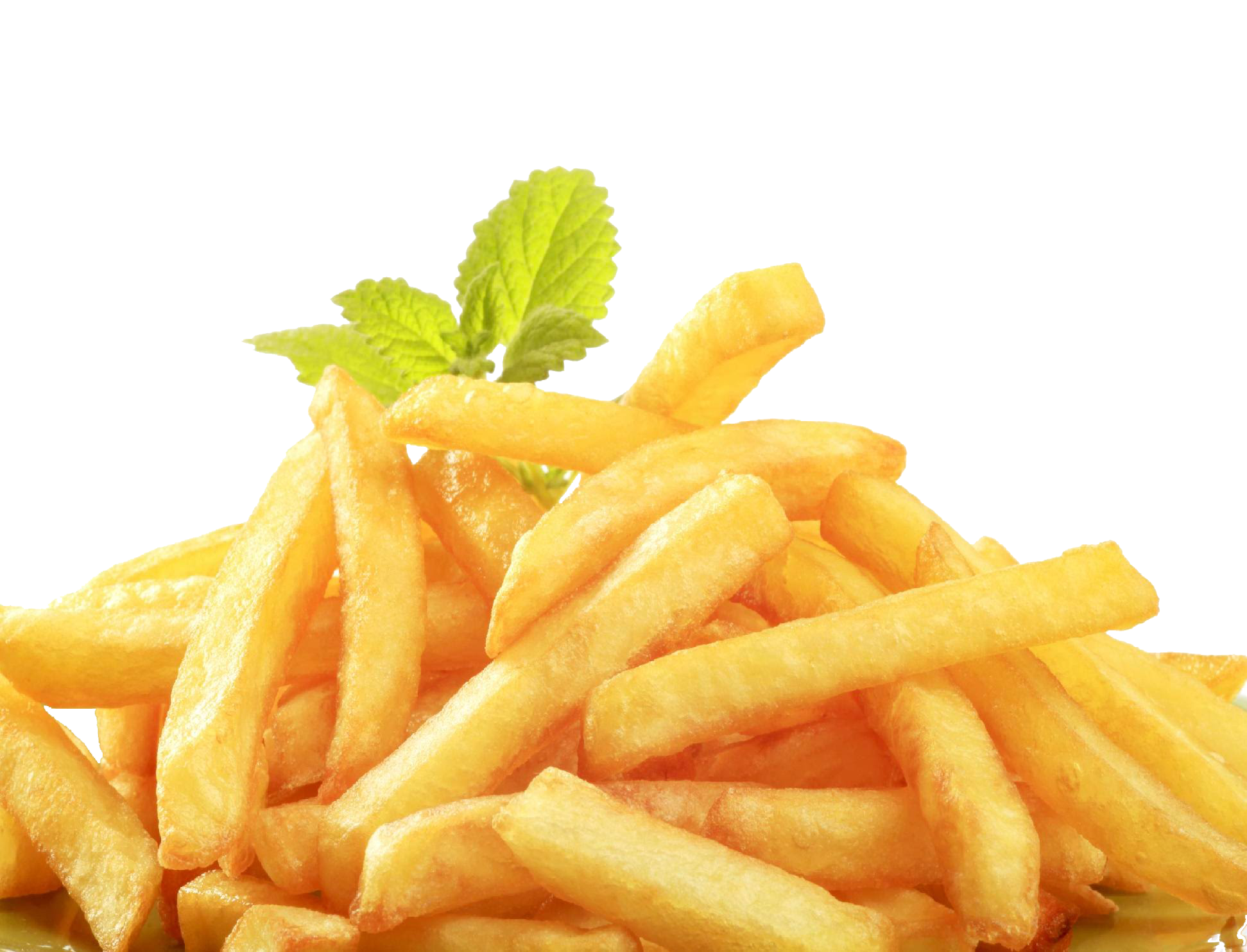 friteuses de table
